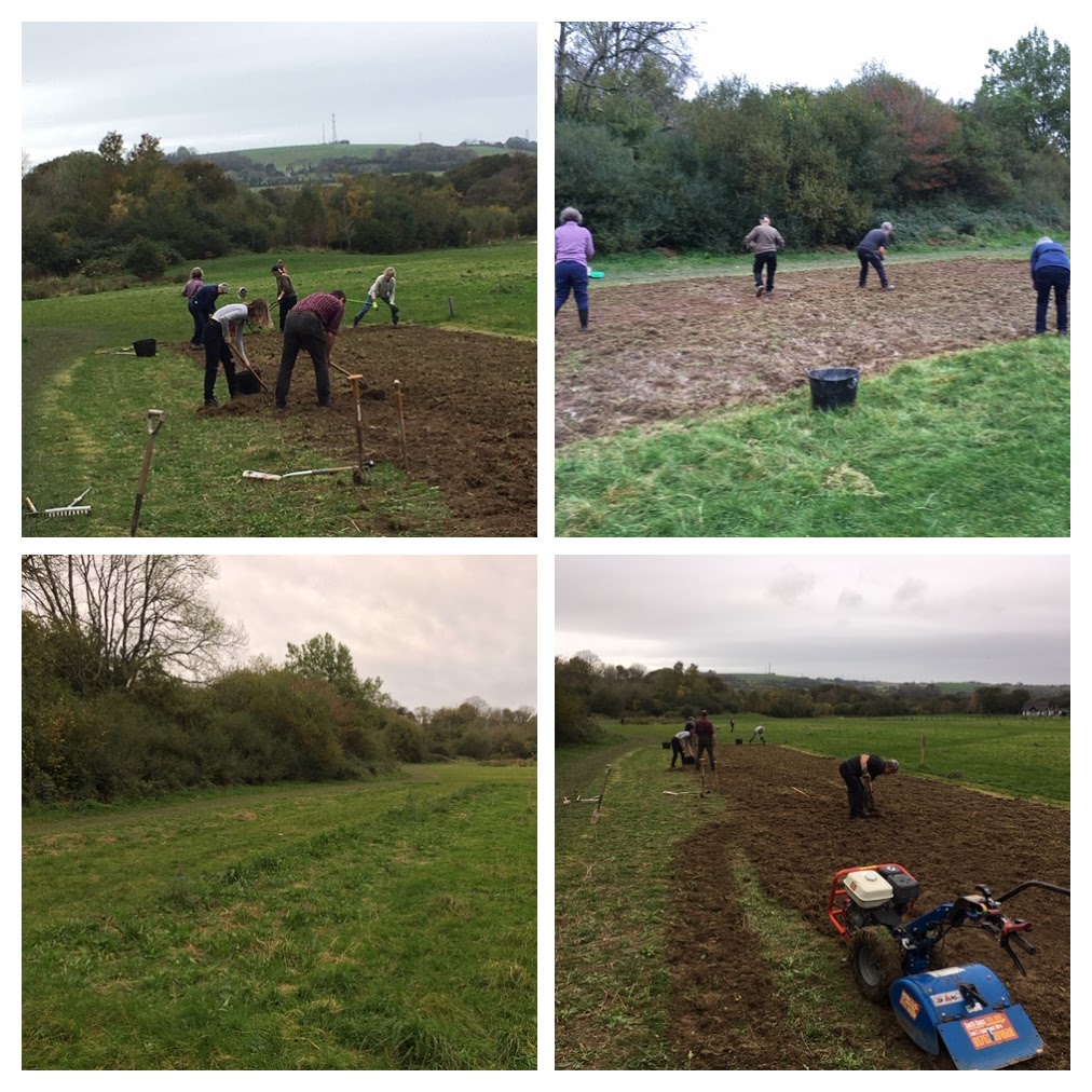 Collage showing volunteers rotavating the ground at Filham in preparation for planting wildflower seeds
